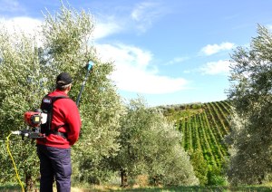 Generatore portatile Lisam - etabeta 2