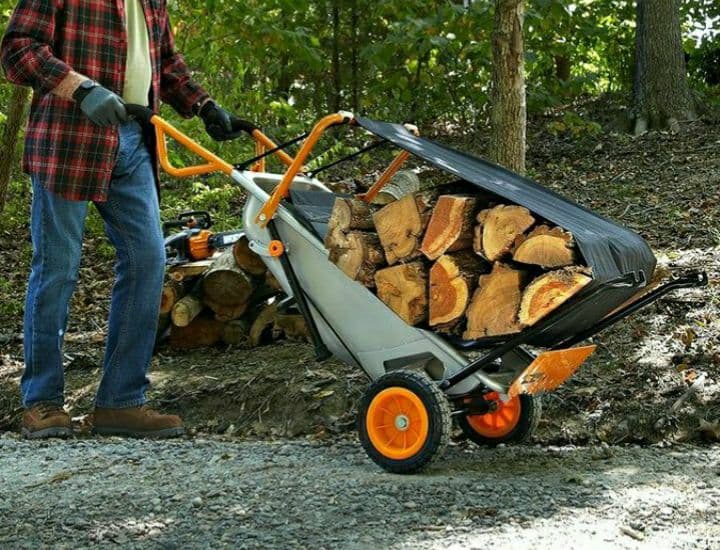 Carriola multifunzione a due ruote Worx WG050