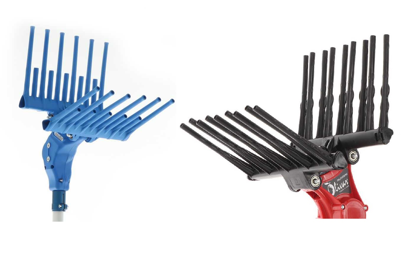 Abbacchiatori olive con movimento verticale